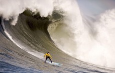 kaiyun|不败女将塔蒂亚娜·苏亚雷斯因健康原因退出UFC第三百一十期比赛