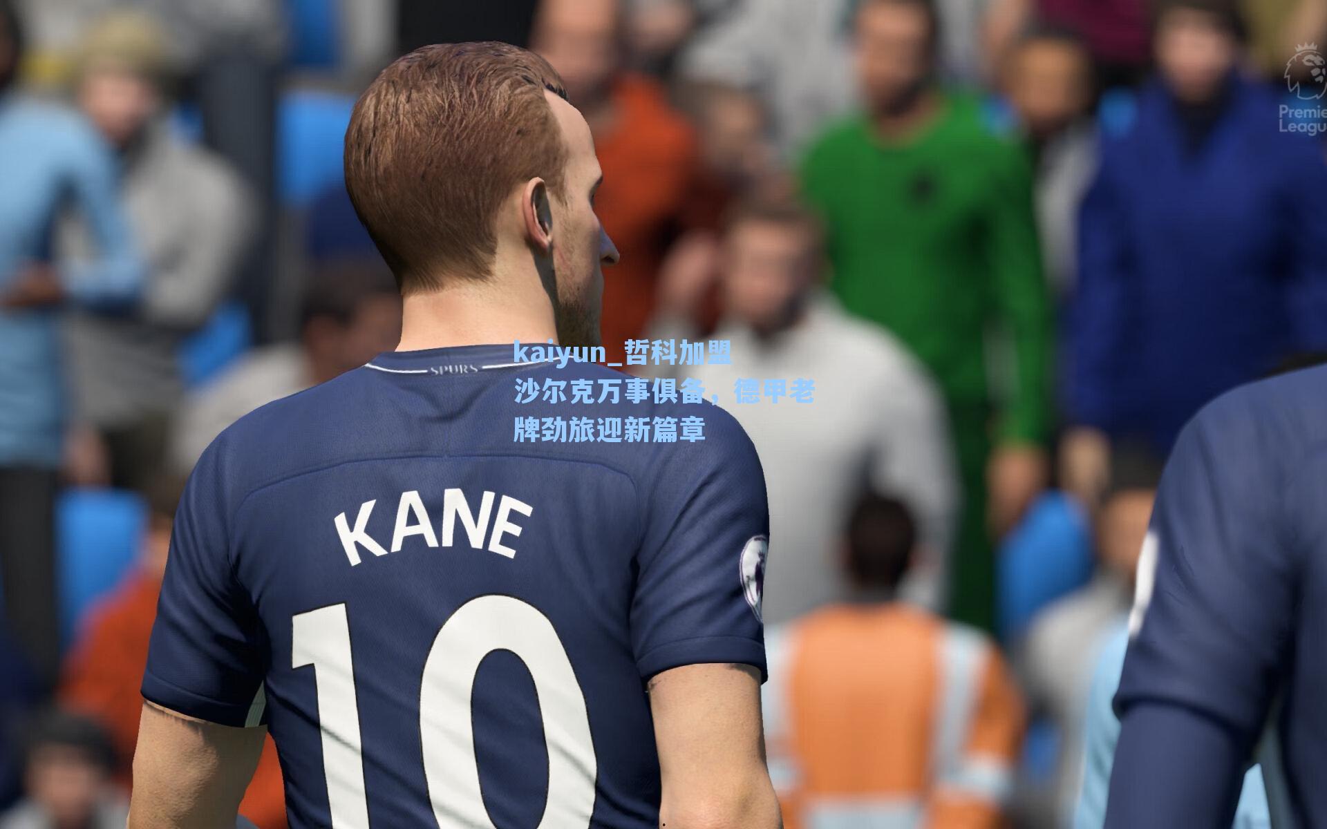 哲科加盟沙尔克万事俱备,德甲老牌劲旅迎新篇章